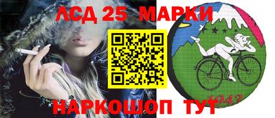 гашик Нальчик