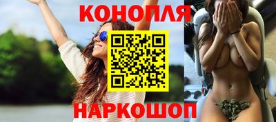гашик Нальчик