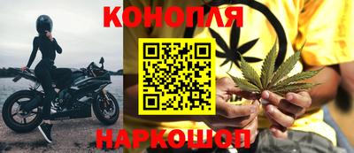 гашик Нальчик