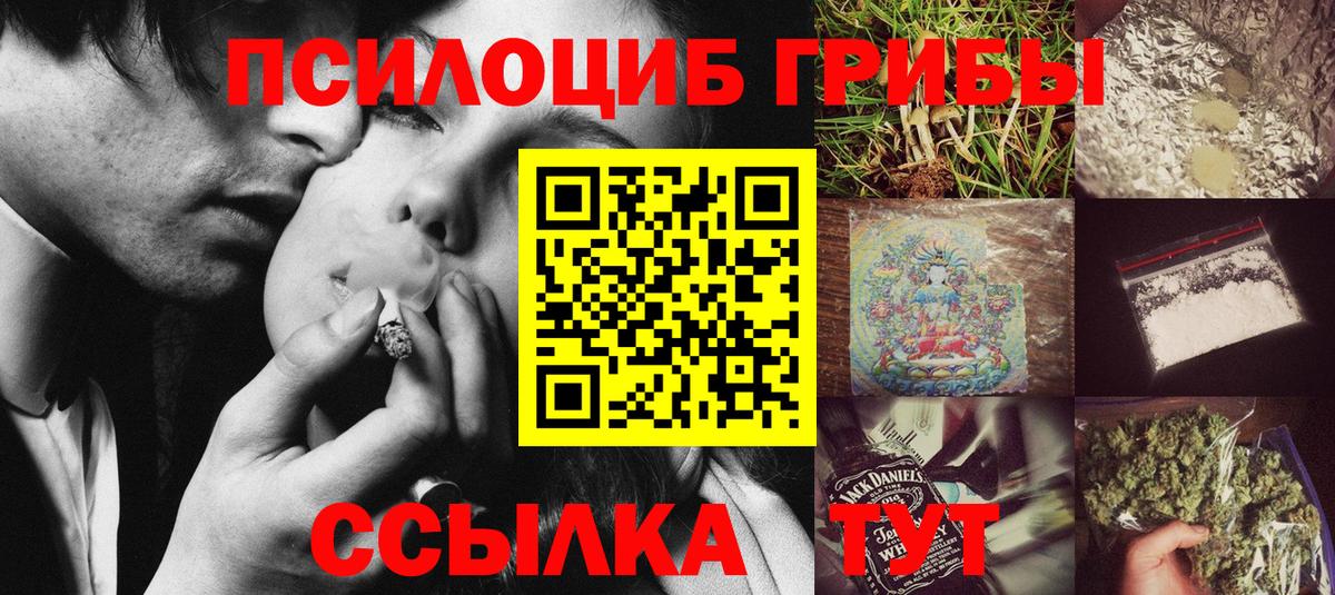 Великий Новгород  Псилоцибиновые грибы прущие грибы  Вход с VPN 