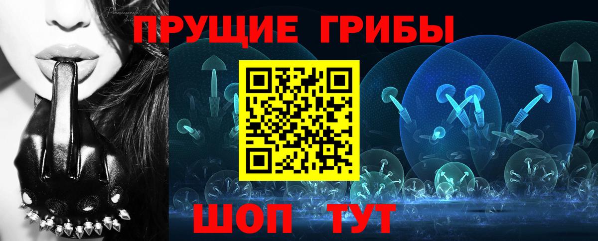 Псилоцибиновые грибы мицелий Великий Новгород